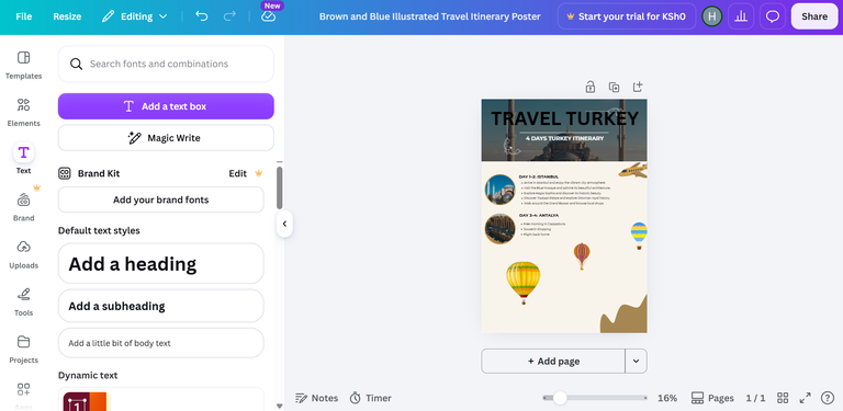 Canva Design Sample